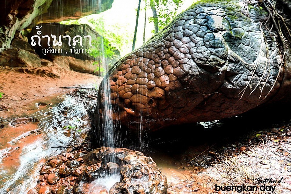 ถ้ำนาคา-บึงกาฬ ( NAGA CAVE)