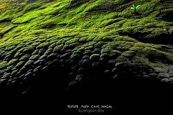 ถ้ำนาคา-บึงกาฬ (Naka Cave)