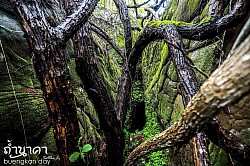 ถ้ำนาคา-บึงกาฬ (Naka Cave)