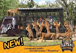 ซาฟารีเวิล์ด (Safari World-Bangkok)