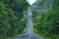 อุทยานฯเขาใหญ่-นครราชสีมา (Khao Yai National Park - Nakornrachasima)